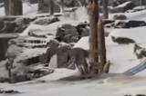 永劫无间手游地脉仪在哪 永劫无间手游地脉仪位置介绍