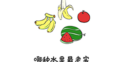 谐音梗挑战第2关攻略哪种水果最老实