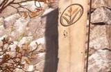《装甲核心6》总监承认：继承了《只狼》的战斗风格