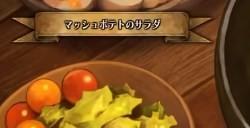 《圣兽之王》要塞都市亚德普提售品一览