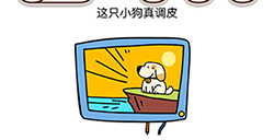 脑洞我最大第26关攻略  这只小狗真调皮