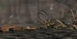 《暗喻幻想：ReFantazio》魔导器的残骸获取位置介绍