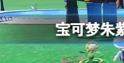 宝可梦朱紫索财灵在哪里捕捉  索财灵捕捉位置