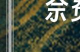 《苏丹的游戏》奈费勒全流程攻略分享