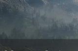 《荒野大镖客2》传说北美狗鱼在哪里钓 传说北美狗鱼位置详情