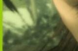 科乐美公布财报 上调全年销售额和利润期望