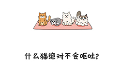 谐音梗挑战第4关攻略  什么猫绝对不会呕吐
