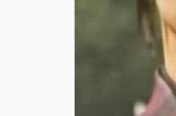 网友号召抵制《羊蹄山之魂》：女权丑化一切 再好玩也不买