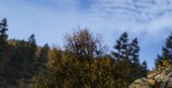 经典末世僵尸游戏《DayZ》1.24更新上线 多处优化调整