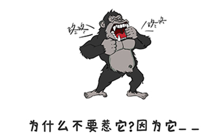 谐音梗挑战第21关攻略  为什么不要惹它