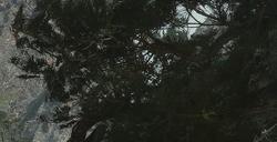 《明末：渊虚之羽》全武器获得方法介绍