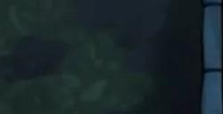 《诺兰德》大型夏季更新档上线经济系统获调整