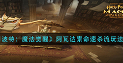 哈利波特魔法觉醒阿瓦达索命速杀流怎么玩  阿瓦达索命速杀流玩法攻略