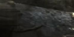 《猎杀：对决》血脉和猎人有什么区别