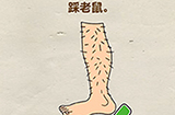 烧脑大师第12关攻略  踩老鼠