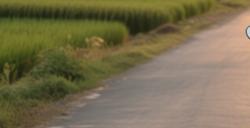 网约摩托车全国多县上线 起步价5块500米加8毛钱