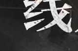 互动影视游戏《晨昏线》线人档案VOL.3 兴丰物流