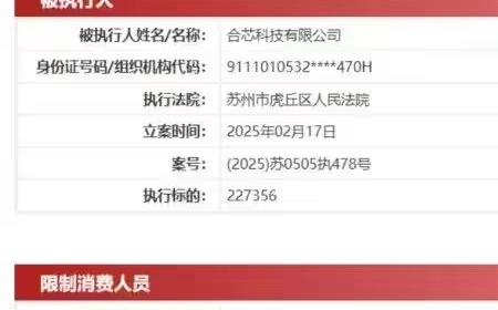 国产CPU公司合芯科技爆雷：董事长被限高 消息称已失联