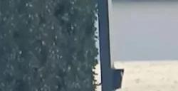 法拉利测试特斯拉Model S Plaid 为纯电超跑做准备
