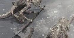 艾尔登法环角人支线任务怎么做 DLC角人支线任务攻略流程