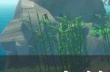 《木筏求生》新手怎么玩 新手入门教程