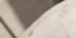 《第一后裔》弗蕾娜和杰波尔视频 美女帅哥大战敌人