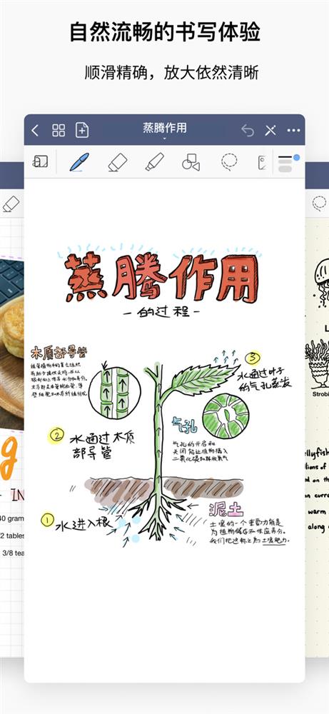 GoodNotes 51.jpg
