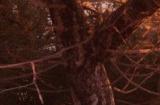砍杀ARPG《龙裔：被放逐者》新预告 消灭巨龙领主