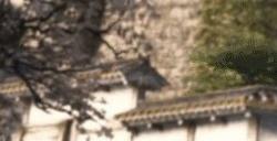 《刺客信条：影》创意总监称弥助挨骂在预料之中
