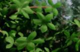 《AlterLife》游戏配置要求介绍