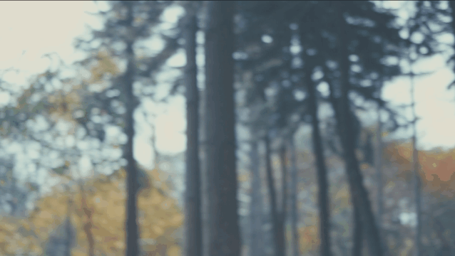 图15.gif