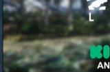开放世界生存游戏《WILDLANDS》现已上架Steam众筹开启
