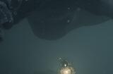 《STRANGE SHADOW》Steam上线 8番出口作者恐怖逃生新游