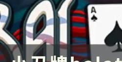 《小丑牌balatro》各名词解释一览 全名词详解