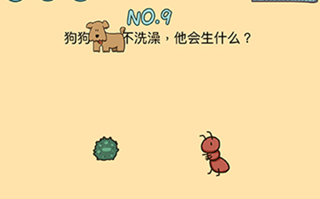 脑力黑洞第9关攻略  狗狗不洗澡他会生什么