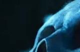 暴雪计划加快《魔兽世界》资料片开发进度：很自信