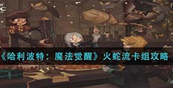 哈利波特魔法觉醒火蛇流卡组怎么玩  火蛇流卡组攻略