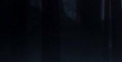 《艾尔登法环》dlc亚人剑圣翁吉分享