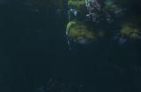 《恶意不息》信仰流用什么武器比较好