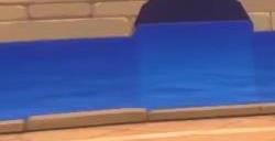 航海王热血航线值得练的s级有哪些