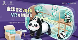 搞VR：PICO视频带来沉浸式“云投喂”体验  首次3D全景VR大熊猫直播
