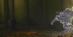 艾尔登法环双持武器有什么效果 双持武器效果介绍