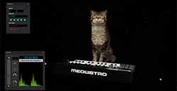 《Meowstro》上线SteamMIDI音乐设计猫咪演奏