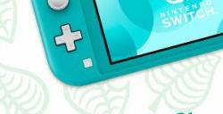 《集合啦！动物森友会》主题Switch Lite预定11月发售