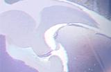 烟花瞬绽，羁绊永恒，遥念烟烟罗角色主题曲已上线！