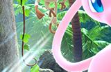《宝可梦集换式卡牌 Pocket》新扩展卡包“梦幻之岛”公布预告 12月17日推出