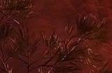 《刺客信条：Red》新爆料 主角是黑人武士弥助和藤林正保之女