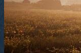 模拟游戏《Morels: The Hunt 2》Steam页面上线 明年发售