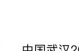 斗鱼：公司CEO陈少杰于11月16日被成都警方逮捕