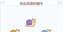 烧脑大挑战游戏第11关攻略  找出伪装的蜗牛